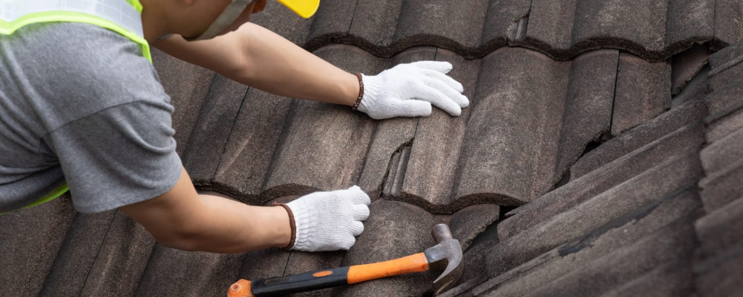 Roofing Services Canton, MI