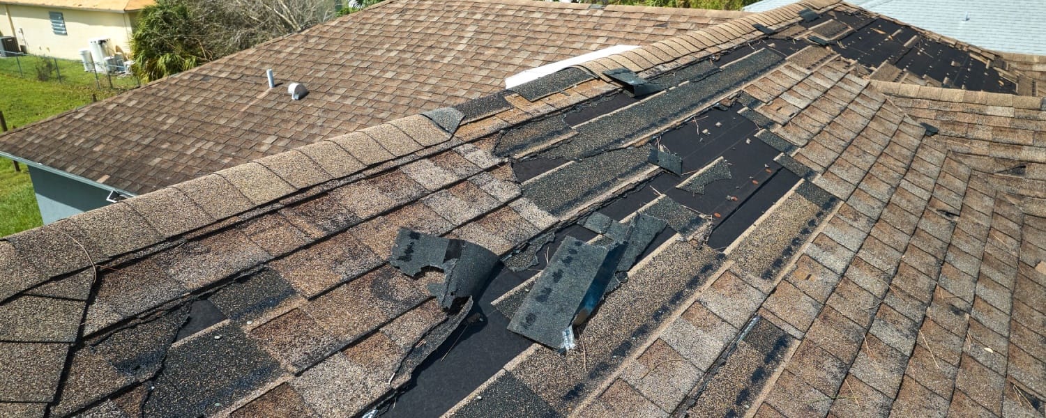 Roof Replacement in Wayne, MI