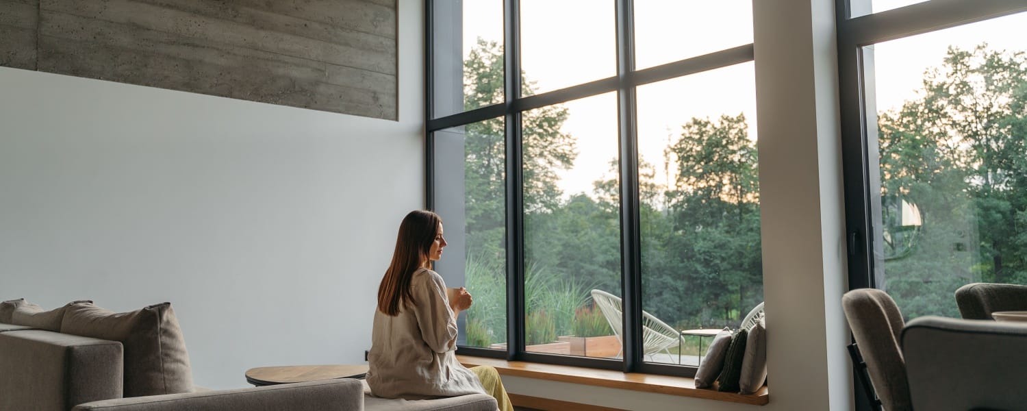 Windows in Novi, MI